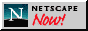 Netscape 3 NOW!